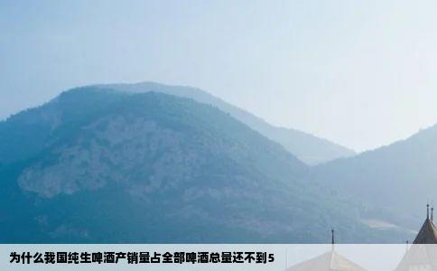 为什么我国纯生啤酒产销量占全部啤酒总量还不到5