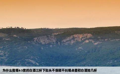 为什么我喝63度的白酒三杯下肚头不昏腿不抖喝点柔和白酒加几杯