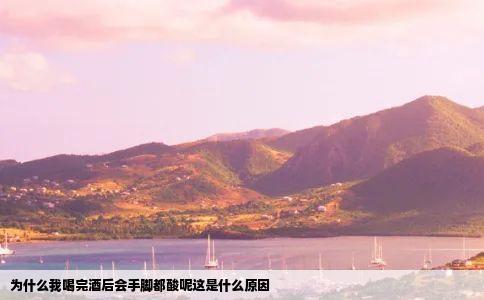 为什么我喝完酒后会手脚都酸呢这是什么原因