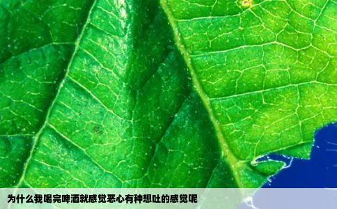 为什么我喝完啤酒就感觉恶心有种想吐的感觉呢
