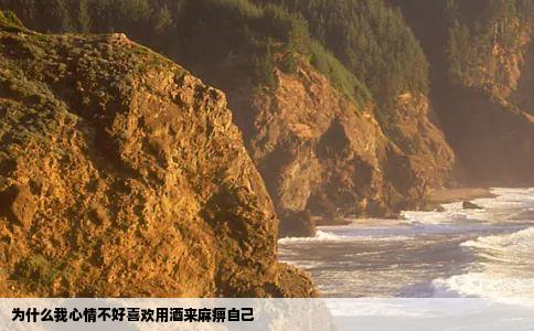为什么我心情不好喜欢用酒来麻痹自己