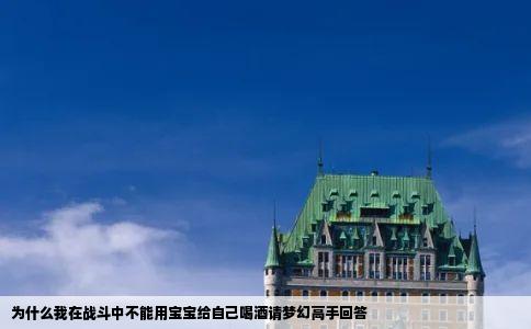 为什么我在战斗中不能用宝宝给自己喝酒请梦幻高手回答