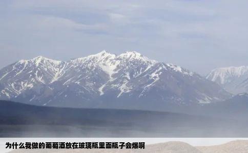 为什么我做的葡萄酒放在玻璃瓶里面瓶子会爆啊