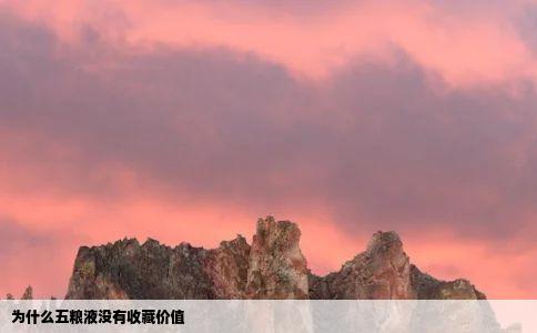 为什么五粮液没有收藏价值