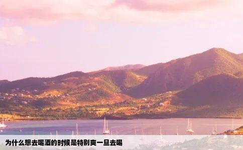 为什么想去喝酒的时候是特别爽一旦去喝