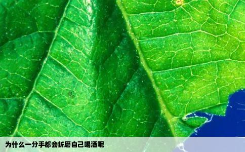 为什么一分手都会折磨自己喝酒呢