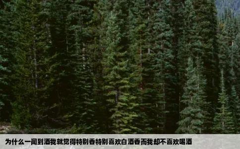 为什么一闻到酒我就觉得特别香特别喜欢白酒香而我却不喜欢喝酒
