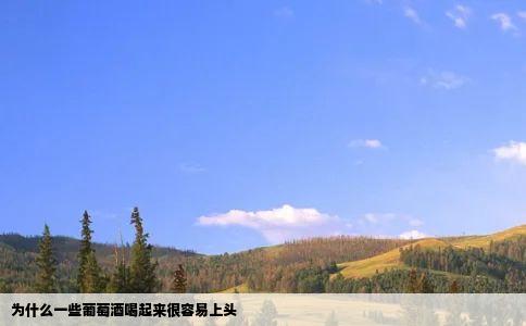 为什么一些葡萄酒喝起来很容易上头