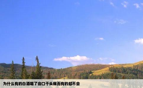 为什么有的白酒喝了会口干头痛而有的却不会