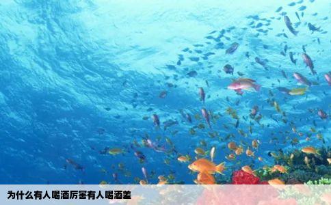 为什么有人喝酒厉害有人喝酒差