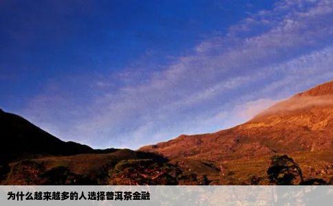 为什么越来越多的人选择普洱茶金融
