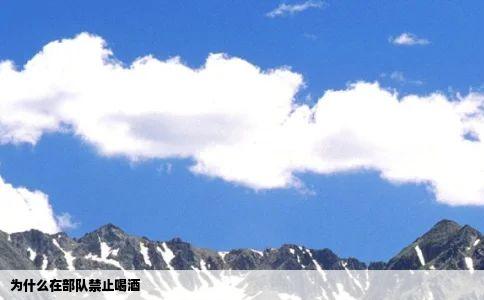 为什么在部队禁止喝酒