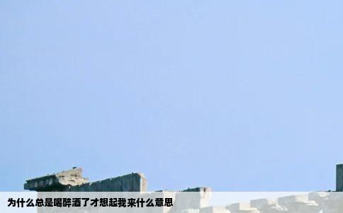 为什么总是喝醉酒了才想起我来什么意思