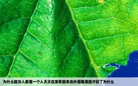 为什么做女人都要一个人天天在家男朋友去外面喝酒很才回了为什么