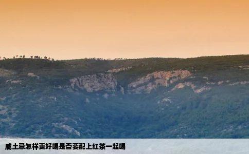 威土忌怎样更好喝是否要配上红茶一起喝