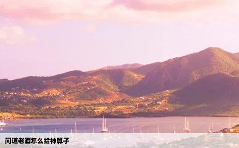 问道老酒怎么给神算子