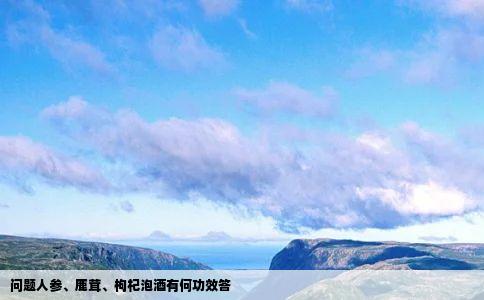 问题人参、鹿茸、枸杞泡酒有何功效答