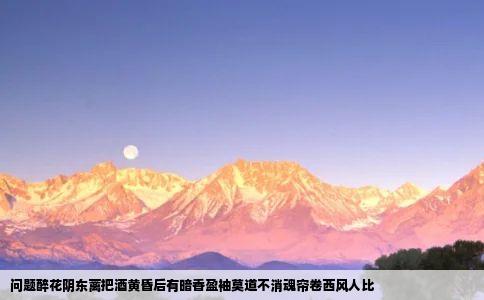 问题醉花阴东蓠把酒黄昏后有暗香盈袖莫道不消魂帘卷西风人比