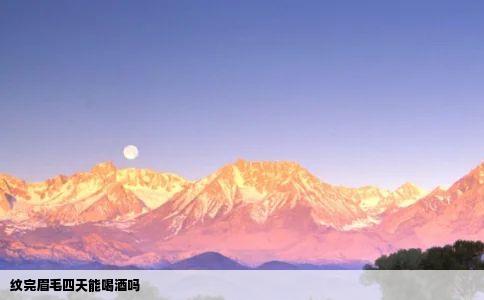 纹完眉毛四天能喝酒吗