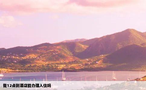 我12点到酒店能办理入住吗