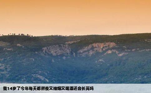 我14岁了今年每天都熬夜又抽烟又喝酒还会长高吗