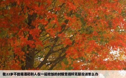 我22岁不能喝酒和别人在一起吃饭的时候觉得好无聊应该怎么办