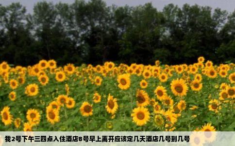 我2号下午三四点入住酒店8号早上离开应该定几天酒店几号到几号