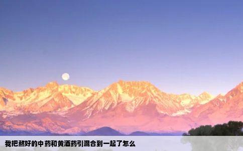 我把熬好的中药和黄酒药引混合到一起了怎么