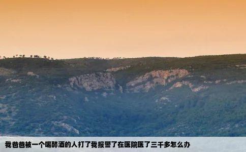 我爸爸被一个喝醉酒的人打了我报警了在医院医了三千多怎么办