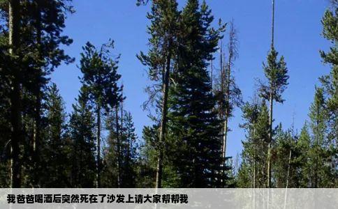 我爸爸喝酒后突然死在了沙发上请大家帮帮我