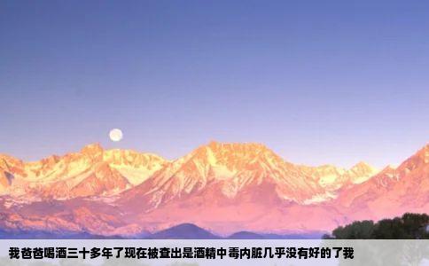 我爸爸喝酒三十多年了现在被查出是酒精中毒内脏几乎没有好的了我