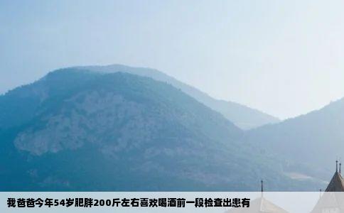 我爸爸今年54岁肥胖200斤左右喜欢喝酒前一段检查出患有