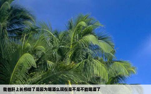 我爸肝上长疖结了是因为喝酒么现在是不是不能喝酒了