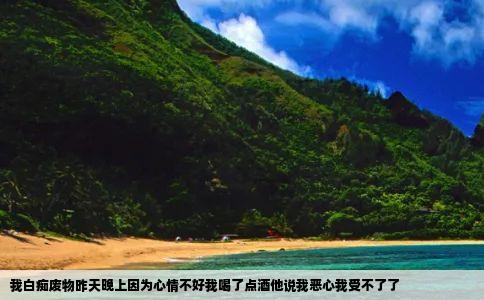 我白痴废物昨天晚上因为心情不好我喝了点酒他说我恶心我受不了了