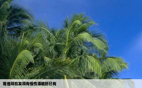 我爸现在发现有慢性酒精肝已有