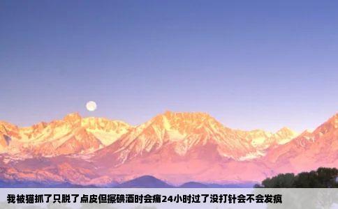 我被猫抓了只脱了点皮但擦碘酒时会痛24小时过了没打针会不会发疯