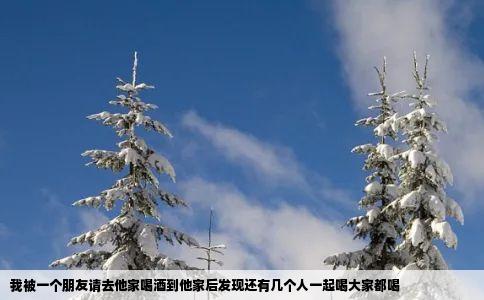 我被一个朋友请去他家喝酒到他家后发现还有几个人一起喝大家都喝