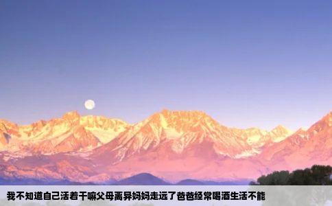 我不知道自己活着干嘛父母离异妈妈走远了爸爸经常喝酒生活不能