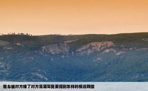 我车被对方撞了对方是酒驾我要得到怎样的相应赔偿