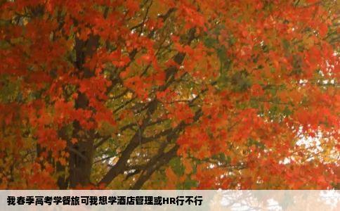我春季高考学餐旅可我想学酒店管理或HR行不行