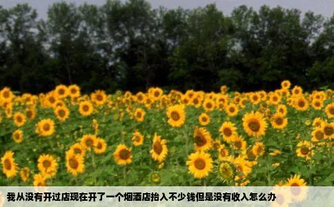 我从没有开过店现在开了一个烟酒店抬入不少钱但是没有收入怎么办