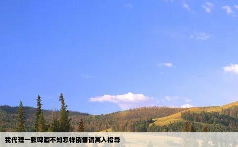 我代理一款啤酒不知怎样销售请高人指导