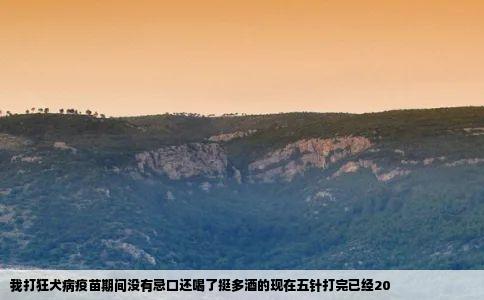 我打狂犬病疫苗期间没有忌口还喝了挺多酒的现在五针打完已经20