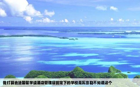 我打算去法国留学读酒店管理目前定下的学校是瓦岱勒不知道这个