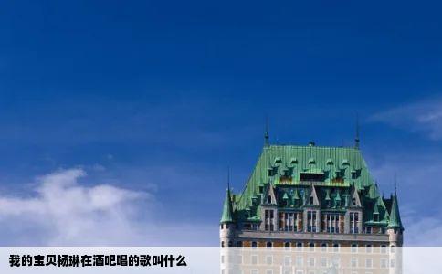 我的宝贝杨琳在酒吧唱的歌叫什么