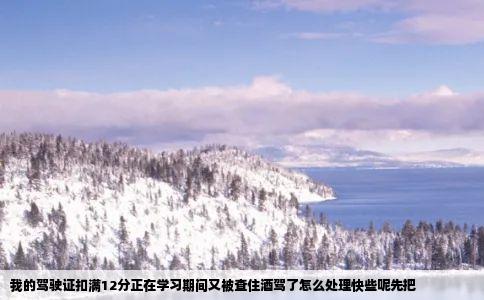 我的驾驶证扣满12分正在学习期间又被查住酒驾了怎么处理快些呢先把