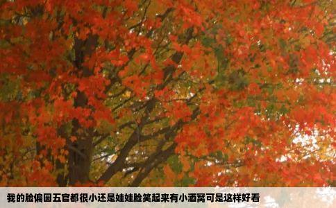 我的脸偏圆五官都很小还是娃娃脸笑起来有小酒窝可是这样好看