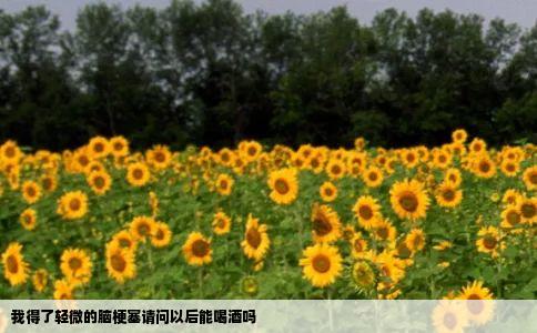 我得了轻微的脑梗塞请问以后能喝酒吗