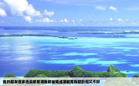 我的朋友很多而且都爱酒我都被喝成酒精胃脂肪肝但又不好