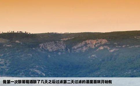 我第一次酿葡萄酒酿了几天之后过滤第二天过滤的酒里面就开始有